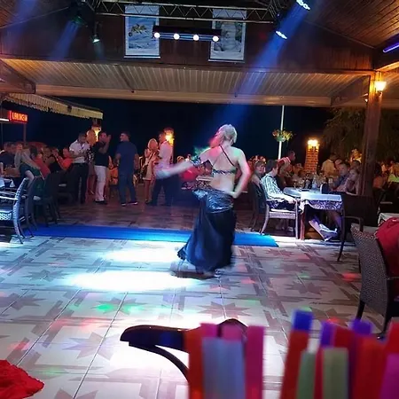 Sky Alremu 3* シダ